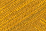 Bob Ross Oil 37ml LANDSCAPE: Yellow Ochre Bob Ross Oil 37ml LANDSCAPE: Yellow Ochre