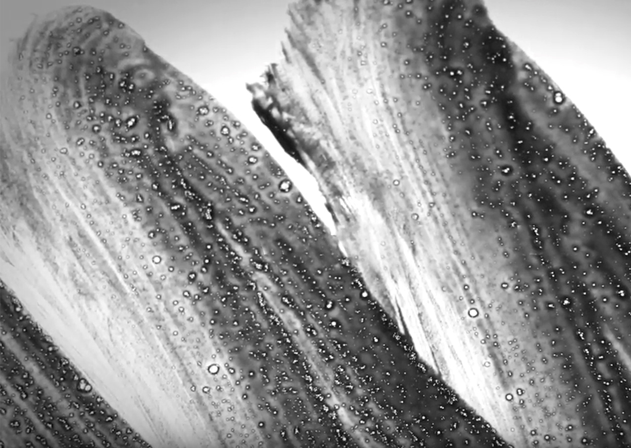 Water soluble charcoal technology